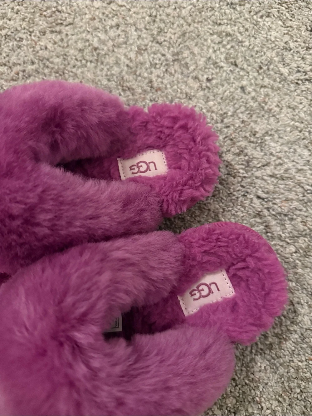 UGG new without